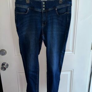 Lane Bryant Jeggings